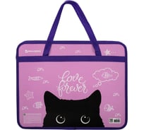 Папка с ручками BRAUBERG Black Cat А4, 1 отделение, пластик, молния сверху, 75 мм 270122