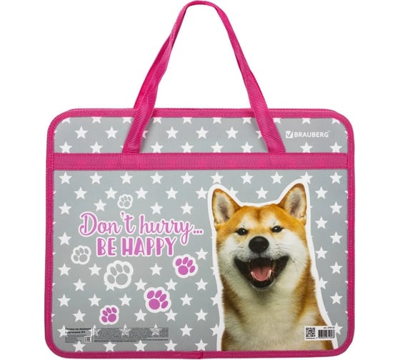 Папка с ручками BRAUBERG Akita А4, 1 отделение, пластик, молния сверху, 75 мм 270125 1