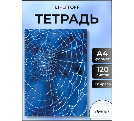 Бизнес-тетрадь listoff А4, 120 листов, в линию, на евроспирали ТС41205241