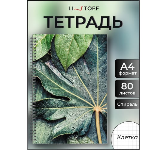 Бизнес-тетрадь listoff А4, 80 листов, в клетку, на евроспирали ТС4805023