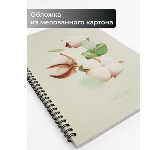 Бизнес-тетрадь listoff А4, 80 листов, в клетку, на евроспирали ТС4805173