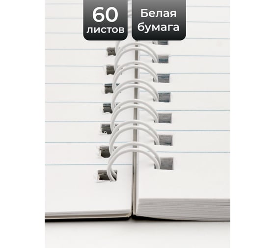 Бизнес-тетрадь listoff А4, 60 листов, в линию, на евроспирали ТС4605037
