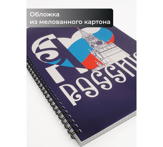 Бизнес-тетрадь listoff А4, 80 листов, в клетку, на евроспирали ТС4805170