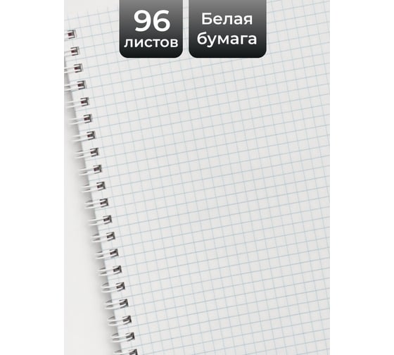 Бизнес-тетрадь listoff А4, 96 листов, в клетку, на евроспирали ТС4964903