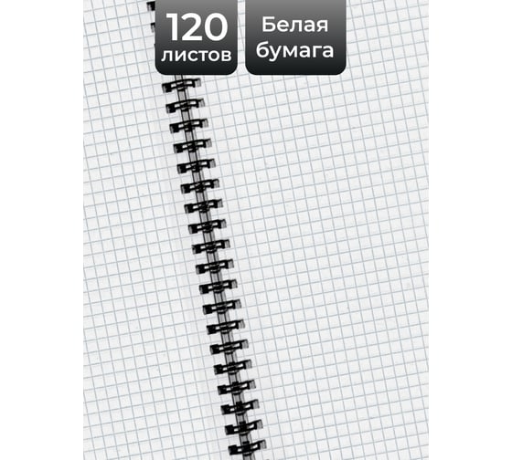 Бизнес-тетрадь listoff А4, 120 листов, в клетку, на евроспирали ТС41205235