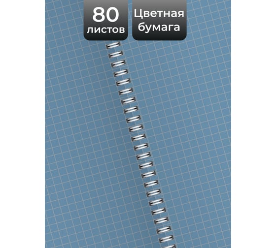 Бизнес-тетрадь listoff А4, 80 листов, в клетку, на евроспирали ТС4804951
