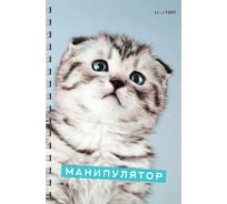 Бизнес-тетрадь listoff А4, 80 листов, в клетку, на евроспирали ТС4805172