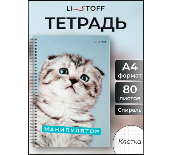 Бизнес-тетрадь listoff А4, 80 листов, в клетку, на евроспирали ТС4805172
