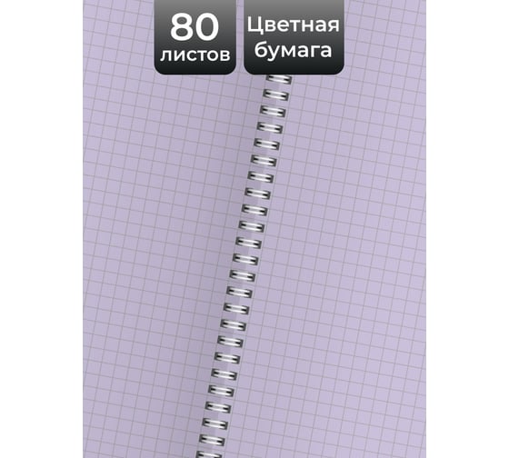 Бизнес-тетрадь listoff А4, 80 листов, в клетку, на евроспирали ТС4804953