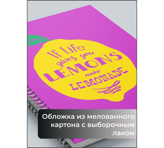 Бизнес-тетрадь listoff А4, 80 листов, в клетку, на евроспирали ТСЛ4805183
