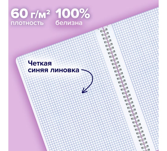 Бизнес-тетрадь BRAUBERG А4, 96 л., комплект 2 шт., гребень, клетка, матовая ламинация, MINIMAL PASTEL, 404879