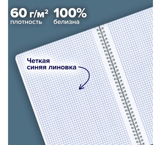Бизнес-тетрадь BRAUBERG А4, 96 л., комплект 2 шт., гребень, клетка, глянцевый лак, ЦВЕТЫ, 404881