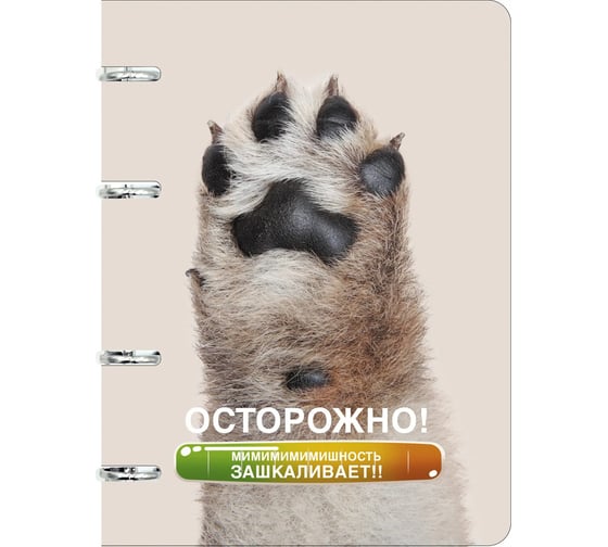 Бизнес-тетрадь listoff А5, 100 листов, в клетку, на кольцах ТК2Л1005189 1