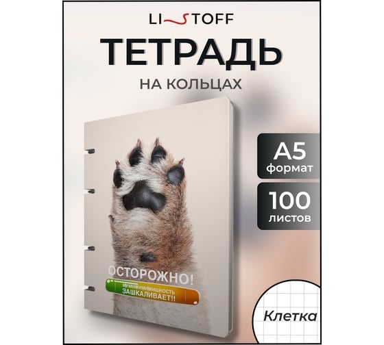 Бизнес-тетрадь listoff А5, 100 листов, в клетку, на кольцах ТК2Л1005189