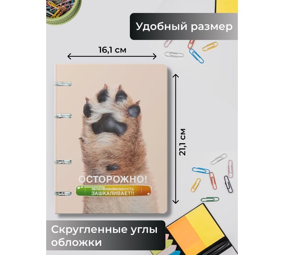 Бизнес-тетрадь listoff А5, 100 листов, в клетку, на кольцах ТК2Л1005189