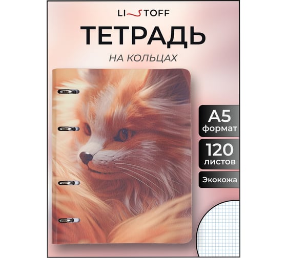 Бизнес-тетрадь listoff А5, 120 листов, в клетку, на кольцах ТКИ1205435
