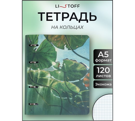 Бизнес-тетрадь listoff А5, 120 листов, в клетку, на кольцах ТКИ1205433