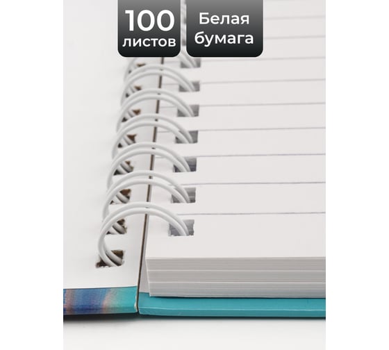 Бизнес-тетрадь listoff А5, 100 листов, в линию, на евроспирали ТС51005231