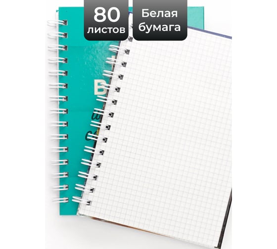 Бизнес-тетрадь listoff А5, 80 листов, в клетку, на евроспирали ТС5805226