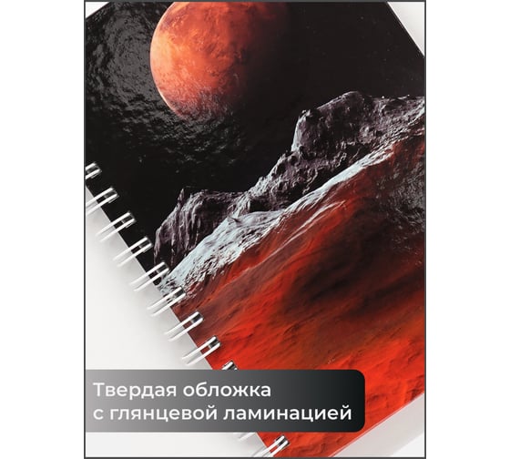 Бизнес-тетрадь listoff А5, 80 листов, в клетку, на евроспирали ТС5805223