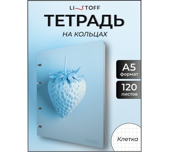 Бизнес-тетрадь listoff А5, 120 листов, в клетку, на кольцах ПБ1204980