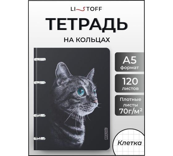 Бизнес-тетрадь listoff А5, 120 листов, в клетку, на кольцах ПБИ1205101