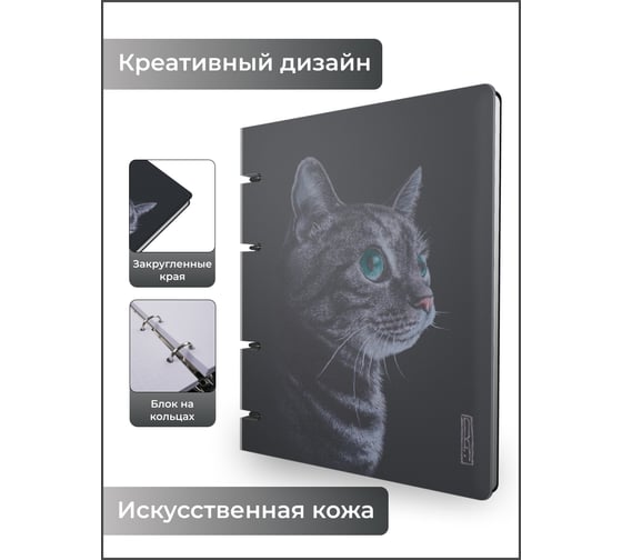 Бизнес-тетрадь listoff А5, 120 листов, в клетку, на кольцах ПБИ1205101