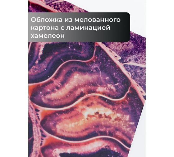 Бизнес-тетрадь listoff А5, 100 листов, в клетку, на кольцах ТК1005213