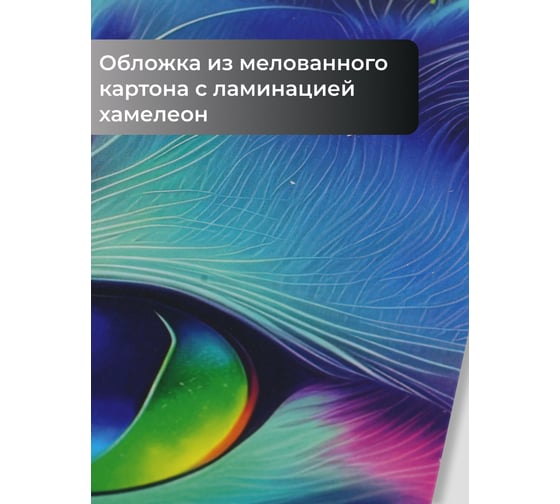 Бизнес-тетрадь listoff А5, 100 листов, в клетку, на кольцах ТК1005211