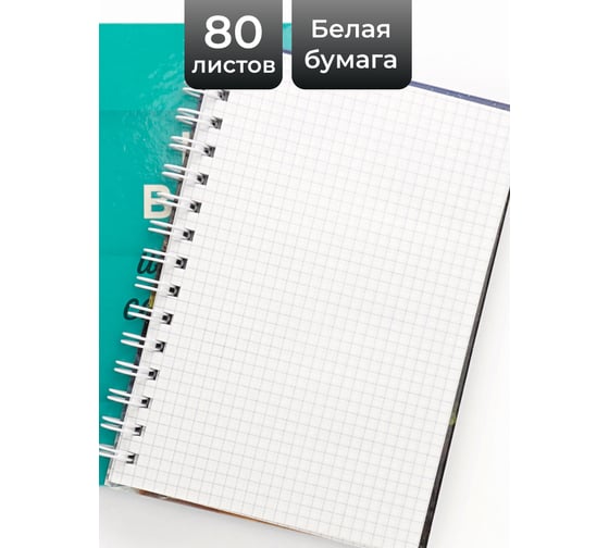 Бизнес-тетрадь listoff А5, 80 листов, в клетку, на евроспирали ТС5805225