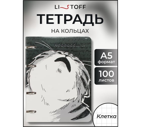 Бизнес-тетрадь listoff А5, 100 листов, в клетку, на кольцах ТКФ1005408