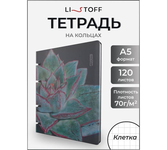 Бизнес-тетрадь listoff А5, 120 листов, в клетку, на кольцах ПБИ1205102
