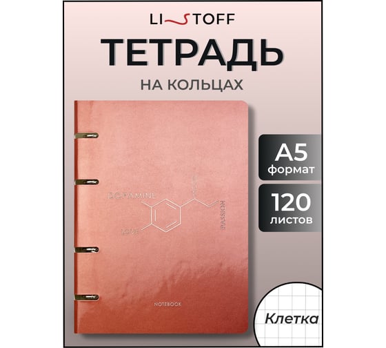 Бизнес-тетрадь listoff А5, 120 листов, в клетку, на кольцах ПБИФ1204912
