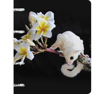 Бизнес-тетрадь listoff А5, 80 листов, в клетку, на кольцах ТК805197