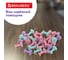 Силовые кнопки-гвоздики BRAUBERG PASTEL, пастельные цвета, 50 штук, 10 мм, 272758 8