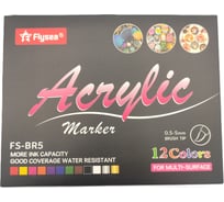 Набор акриловых маркеров с наконечником кисть Flysea Acrylic Painter, 12 цветов FS-BR5