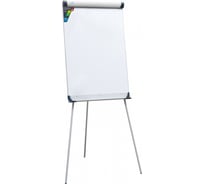 Магнитно-маркерный флипчарт Hatber 70x100 см, с полочкой для аксессуаров 0 47586