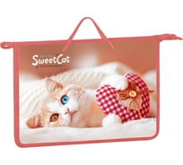 Папка с ручками на молнии ArtSpace Sweet cat А4, пластик, 75 мм ПТ-15_4_25572