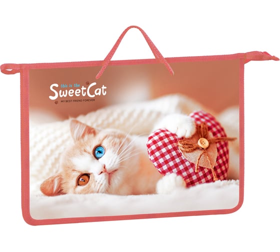 Папка с ручками на молнии ArtSpace Sweet cat А4, пластик, 75 мм ПТ-15_4_25572