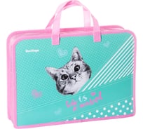 Папка с ручками BERLINGO Curious cat 1 отделение, А4, 340х245х75 мм, пластик, на молнии PTA47522