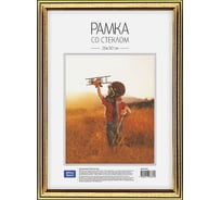 Пластиковая рамка OfficeSpace №2, 21х30 см, золото 222161
