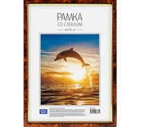 Пластиковая рамка OfficeSpace №6, 21х30 см, темный орех РП_432