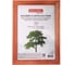 Рамка BRAUBERG 15x20 см, дерево, багет 18 мм, Pinewood, красное дерево, стекло, подставка 391217 4