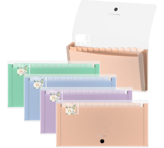 Пластиковая папка-картотека ErichKrause Matt Pastel Bloom с 13 цветными отделениями, Check size, прозрачный, ассорти (пак. по 4 шт) 61215