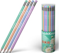 Чернографитный карандаш ErichKrause Pastel Bloom, трехгранный, с ластиком, HB (в тубусе по 42 шт.) 60722