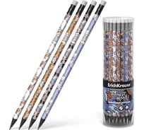 Графитный карандаш ErichKrause Тюльпаны, трехгранный, с ластиком, ТМ 55265