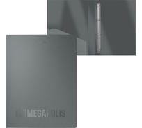 Папка ErichKrause на 4 кольцах пластиковая MEGAPOLIS®, 24 мм, A4, серый 49982