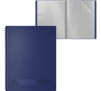 Папка ErichKrause файловая пластиковая на спирали MEGAPOLIS®, c 40 карманами, A4, синий 49957