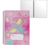 Папка-портфолио ErichKrause пластиковая Розовый фламинго, c 40 карманами, A4 53370