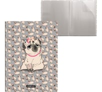 Папка файловая пластиковая ErichKrause Chilling Dog, с 30 карманами, А4, 4 шт 52763